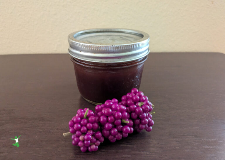 Homemade Beautyberry Jam | Healthy Home Economist homemade American beautyberry jam in small mason jar with sprig of fresh berries