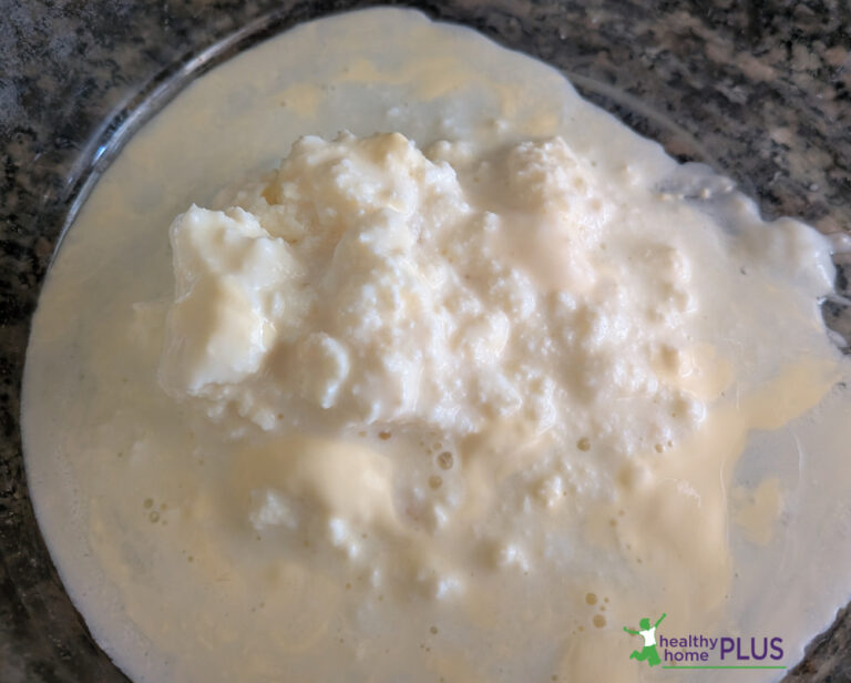 Growing Live Kefir Grains from Scratch Growing Live Kefir Grains from Scratch