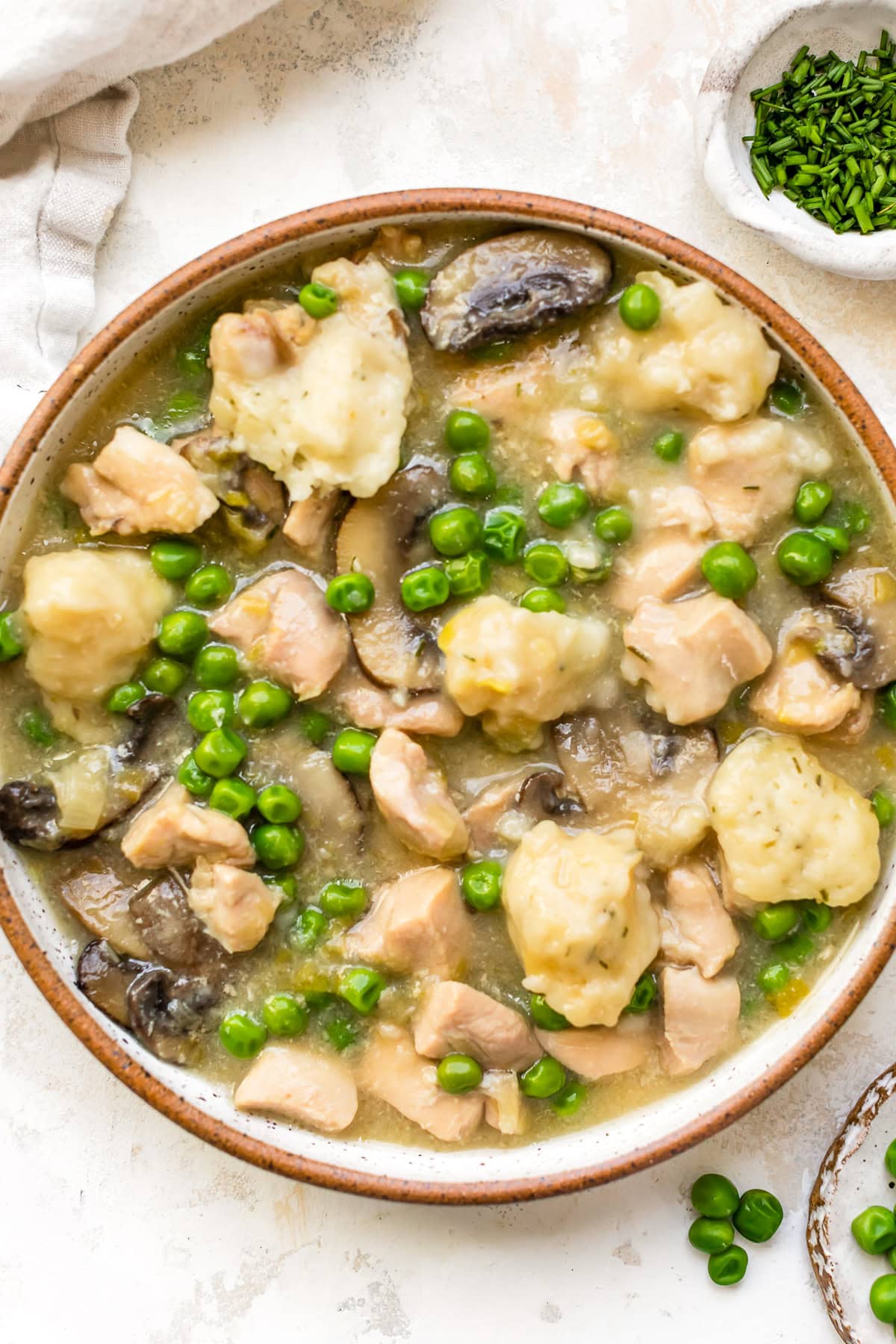 Spring Chicken and Dumplings