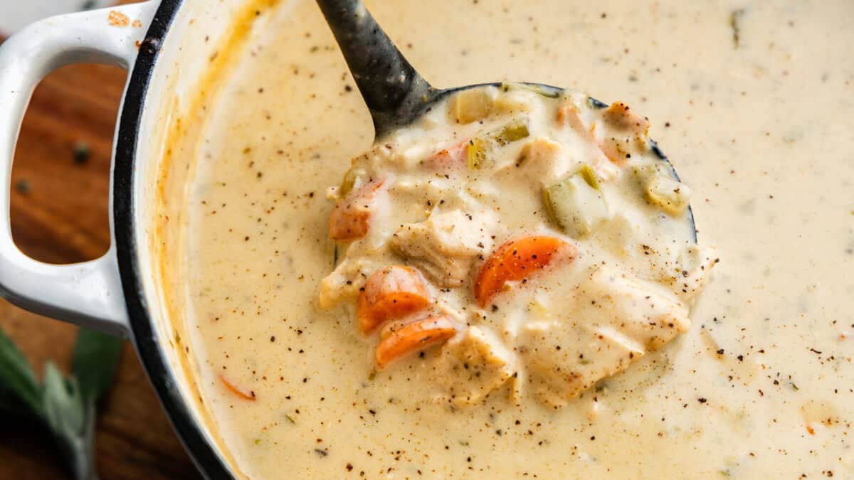 Closeup of a ladleful of creamy chicken soup.