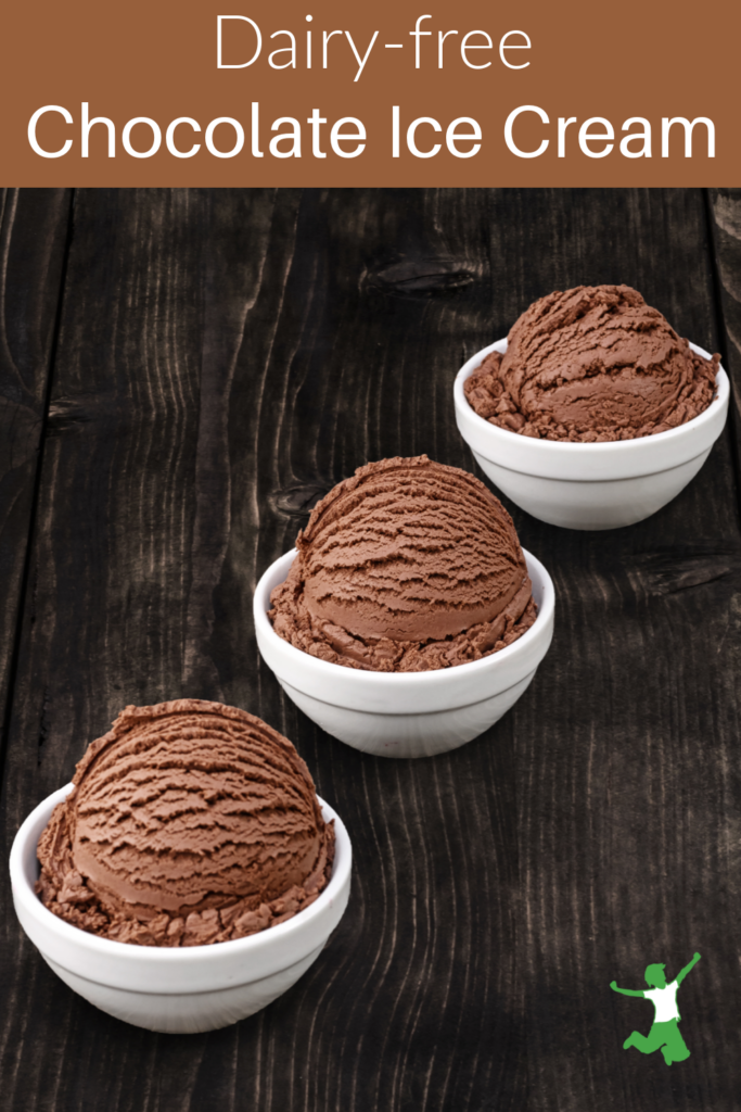 chocolate ice cream made with dairy-free milk in white bowls