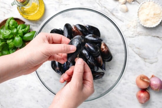 With tender mussels in cream sauce with Parmesan and basil, this recipe is perfect for special occasions, but easy enough for a weeknight! Hand holding mussel over bowl.