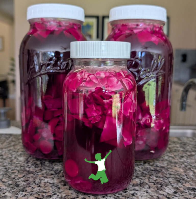 Probiotic Mixed Vegetables (“forever ferment”) cultured vegetable mixture in mason jars