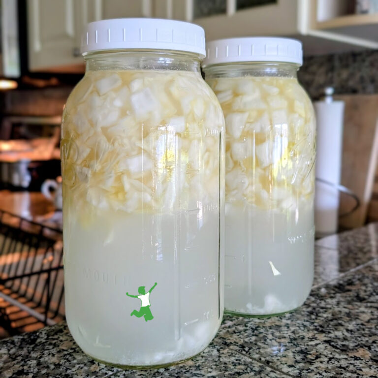 Therapeutic Cabbage Tonic (easy!) | Healthy Home Economist easy cabbage tonic in large mason jars on counter